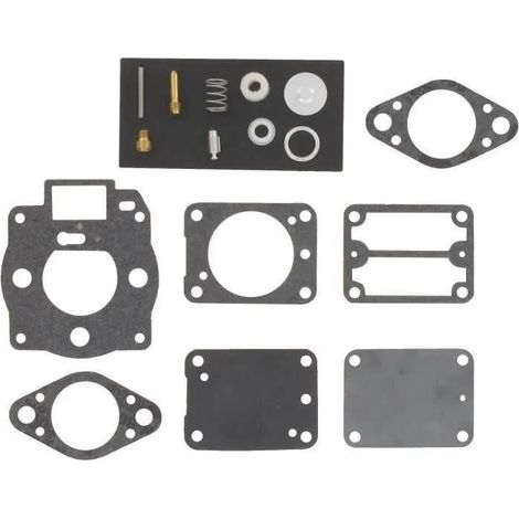 Reparatursatz Vergaser autres carburetor repair kit kompatibel Briggs & Stratton