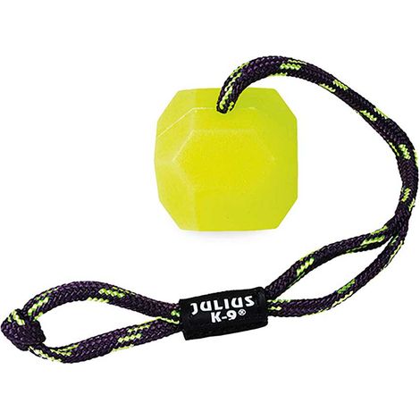 Julius K9 Silikon Hart Neon Fluoreszierend Hundespielzeug
