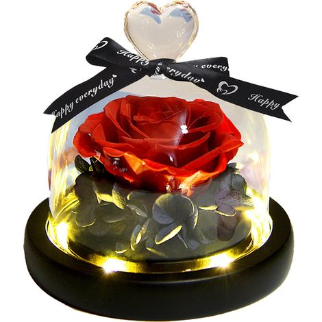 Sous la cloche de verre, les fleurs ne se faneront jamais, un cadeau de Noël pour les amoureux et les amis. (1/5)