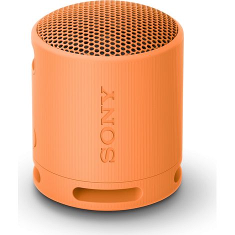 Sony SRS-XB100 - Speaker Wireless Bluetooth, portatile, leggero, compatto, da esterno, da viaggio, resistente IP67 SRSXB100D.CE7 (1/5)