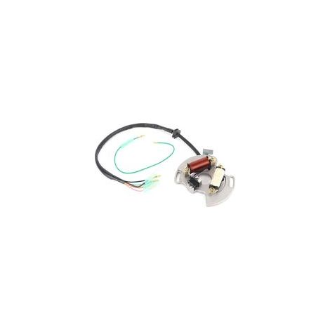 Estator de generador con arnés de cableado 5VM855600000 para Yamaha Blaster 200 YFS200 2003-2006