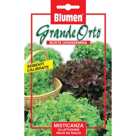 SEMI MISTICANZA DI LATTUGHINE RICCIE DA TAGLIO BLUMEN