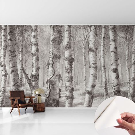 Papier peint autocollant avec imprimé décoratif pour salon et chambre à coucher Installation facile Forêt de bouleaux 416x254 cm (1/5)