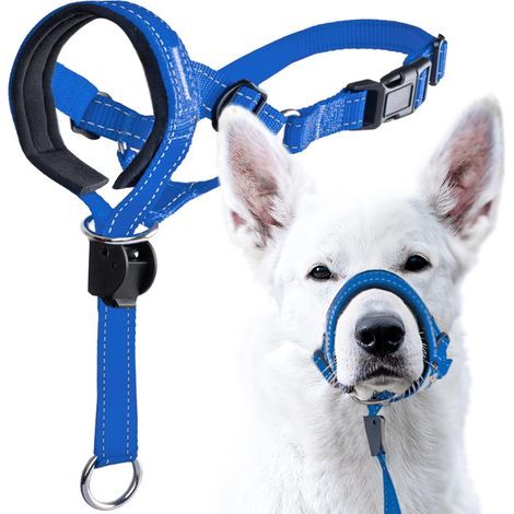 Dog Head Halter with Safety Strap - Stops Heavy Pulling On The Leash - Padded Headcollar for Small Medium and Large Dog Sizes - Head Collar Training Guide Included