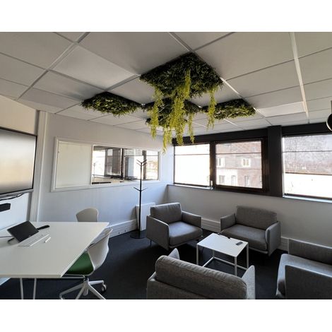 PROVOST - Plafond végétal synthétique 600x600 cm - Ambiance zen et isolation acoustique - Provost (1/5)