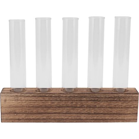 Station de propagation de plantes en verre, tubes de propagation, terrarium de bureau avec support en bois, mini tubes à essai, décoration intérieure, 5 tubes