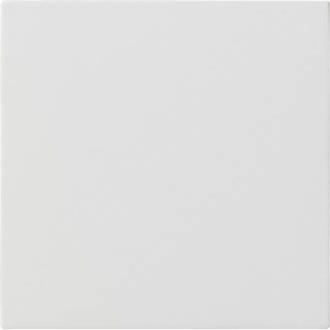 Gira Bedienaufsatz rws Flächenschalter 5360112 (1/2)