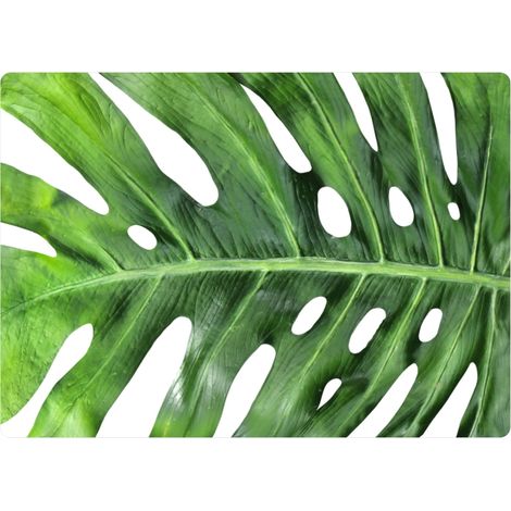 Mantel individual rectangular de 29×42 cm, estampado Día de Galápagos - fieltro ecológico, lavable a 40 °C, Bertoni (1/4)