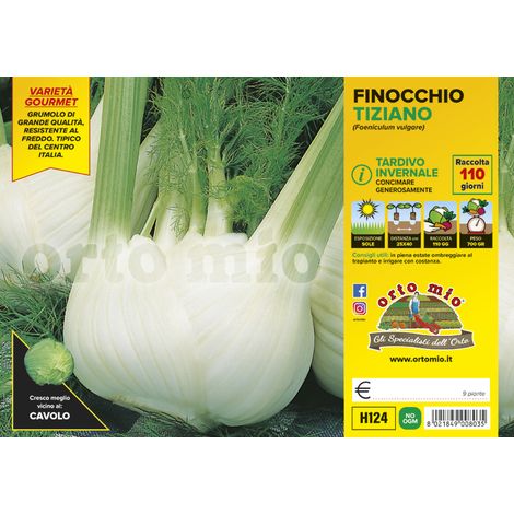 ORTO MIO Finocchio Tardivo Invernale var. Tiziano F1