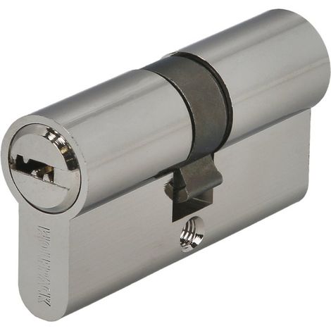 Cylindre de sécurité 30x30 mm/13,5 Came courte Nickelé Avec 5 clés