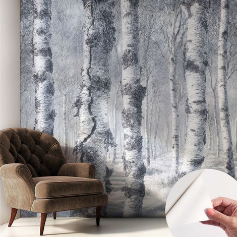 Tapete Selbstklebend - Fototapete mit Motiv - Wandtapete modern - Wanddeko Frostige Natur 250x250 cm (1/5)