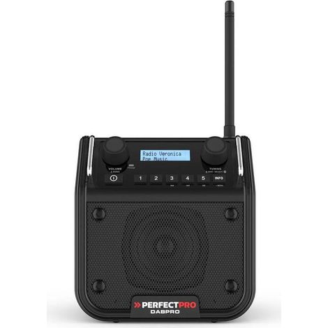 Radio de chantier DABPRO - 1.34 kg - D-Work (1/4)