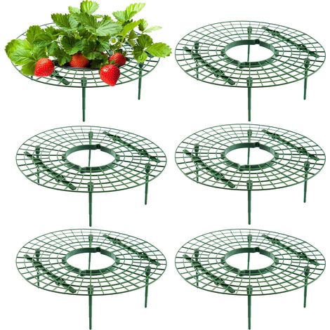 10 Pièces Cadres de Fraises, Support de Fraise Réglable, Support pour Plantes, Supports de Culture de Fraises, Support de Plantation de Fraises Amovibles, Protection Contre Pourriture et Moisissure (1/5)