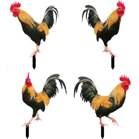 Coq décoratif pour jardin, piquet extérieur, ornement animal poulet, décoration de jardin extérieur, 10 pièces.