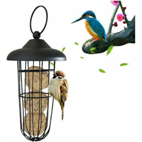 Mangeoire à Oiseaux, mangeoire à Oiseaux en métal à l'épreuve des écureuils mangeoire Suspendre Automatique Porte-Boule Graisse Outil d'alimentation (1/4)