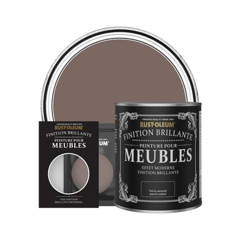 Peinture pour Meubles Brillante - Torrent (1/2)