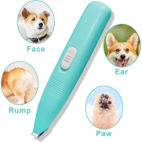 Machine de toilettage électrique pour chiens, pour la finition et l'entretien régulier à domicile.-AquaForge (1/4)