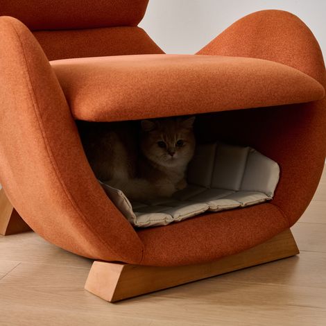 Fauteuil lounge requin-baleine anti-griffes chat, refuge cosy pour chat et petit chien, canapé design salon TV