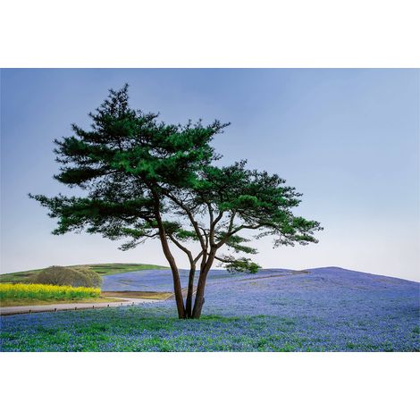 Papier peint panoramique arbre & champ de fleurs bleues | Tapisserie panoramique paysage asiatique salon | Papier peint panoramique nature chambre - 384 X 260 cm (8 pièces) (1/2)