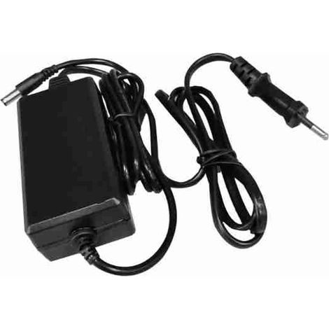 Alimentatore switching da interno per telecamera. Uscita 12 Vcc / 2.5 A