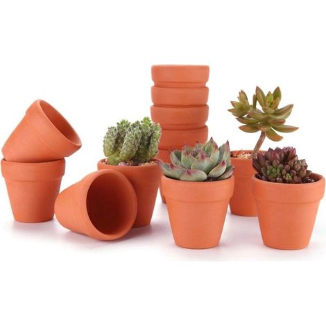 6.5CM 12pcs Pot de Succulent en Terre pour Cactus Fleurs Plantes, Terracotta Pot Argile pour Cactus Succulent Plantes Fleur Décoration Horticole Mariage Fête Maison Jardin et Chambre (1/4)