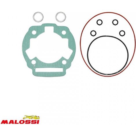 Dichtung Motor Malossi für Motorrad Derbi 50 Motor euro3 2006