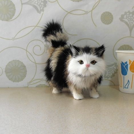 Chat en peluche toute douce, adorable jouet en peluche, décoration de bureau pour la maison et Noël (1/2)