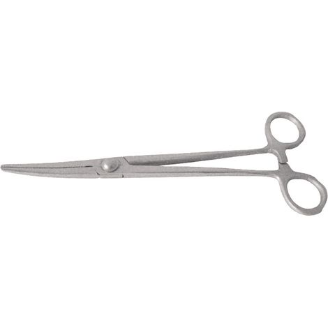 PINZA FORCEPS 120MM INOX
