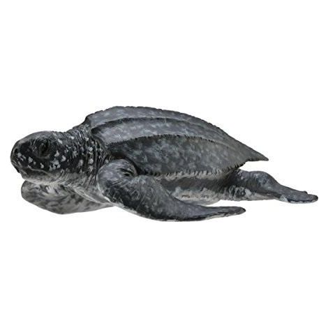 Lederschildkröte