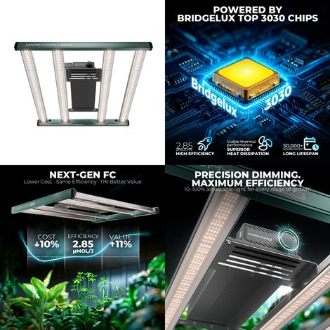 Mars Hydro Growbox Komplettset 100x100x180cm LED FC 3000 LED-Wachstumslicht mit Ventilation Clip on fan fü für Zimmerpflanzen (1/5)