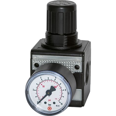 Riegler Präzisionsdruckregler »multifix«, BG 1, G 1/4, 0,5 - 10 bar (1/4)