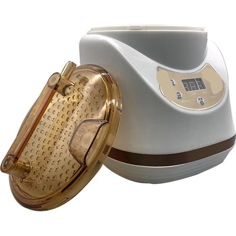 Machine de Fumigation, Appareil de Fumigation de Sauna à Vapeur for Les Pieds, Machine à Vapeur for Soins de santé et beauté, Machine de Fumigation Domestique 3L (1/5)