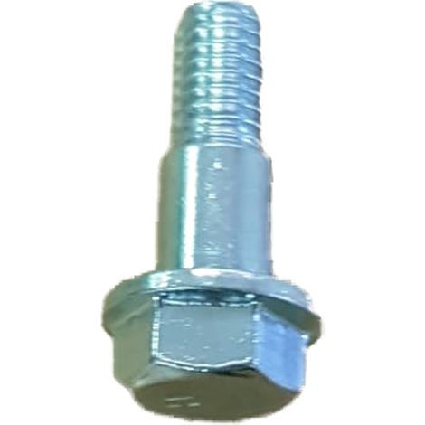 Tornillo Cazoleta compatible con Zsqf1  Ref 976084