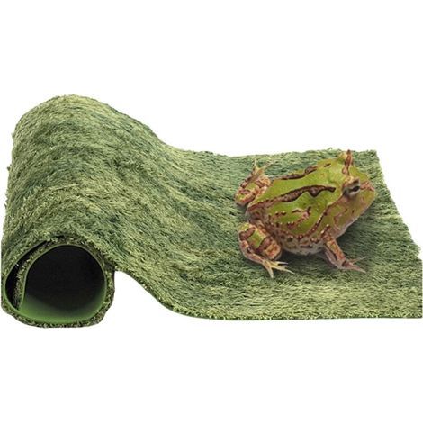 Reptile foam mat