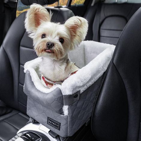 Hundesitz Mittelkonsole Auto für kleine Hunde bis 4kg, waschbar, dunkelgrau (1/5)