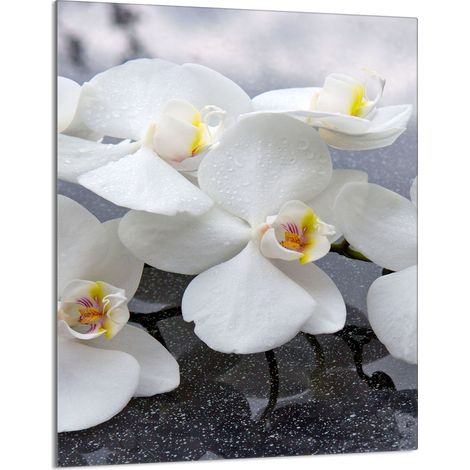 Glasschneidebrett 40x52 Orchidee (1/5)