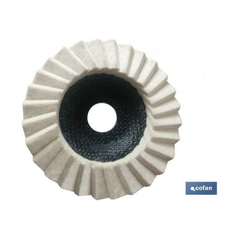 DISQUE À LAMELLES EN FEUTRE POUR POLISSAGE Ø115 G-D5/H25 - COFAN