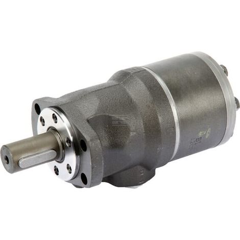 Card谩n motor orbital di谩metro32 4-L WHITE OMH400151H1005 (1/5)