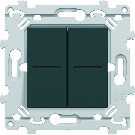Double interrupteur ou bouton poussoir à voyant Hager Essensya Finition: Anthracite