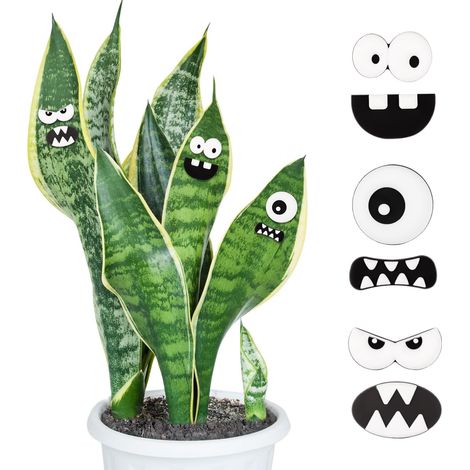 6pcs Aimants Plantes Yeux Plantes, Aimants Plantes en Pot Accessoires Plantes d'Intérieur Accessoires Mignons Drôles Visages Magnétiques Décoration pour Amateurs de Plantes en Pot (1/5)