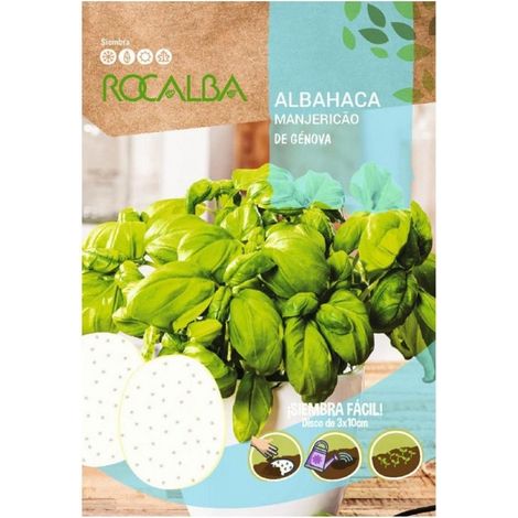 Rokalba -Discs Albahaca de Genova 3x10 cm
