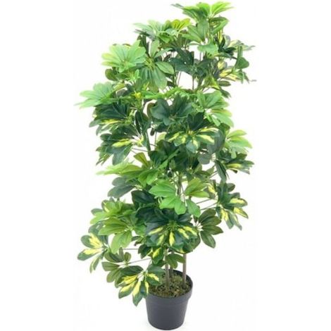 Pianta ornamentale Schefflera a foglie verdi con vaso 96 cm.