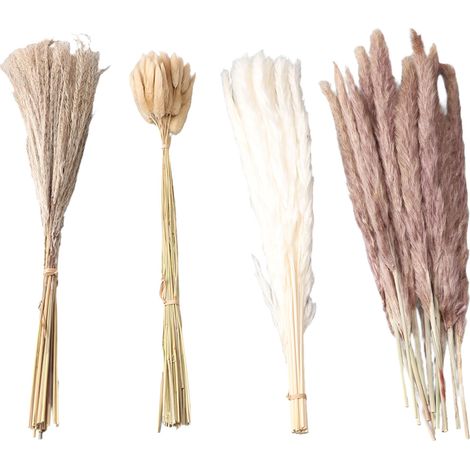Herbe de Pampa Séchée Naturelle - 15 Brins Blancs, 15 Brins Bruns, 50 Brins Queue de Lapin, 20 Brins Roseau pour Décoration Mariage et Maison (1/5)