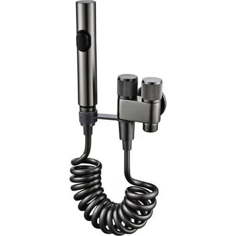 Bidet WC portable, pression d'eau réglable, avec flexible de chasse d'eau, pour l'hygiène féminine acier inoxydable nickelé brossé (1/5)