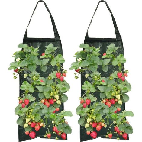 Lot de 2 sacs de plantation pour fraises avec 8 trous, durables, respirants, sacs de plantation avec poignées pour plantes/herbes/fleurs