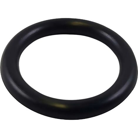 GUARNIZIONE O-RING PER RACCORDERIA mm 19,80 x 3,60 (1/2)