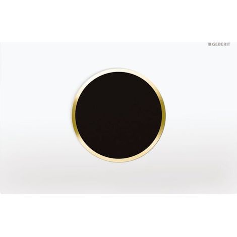 Geberit 242782KK1 Plaque Sigma10 pour commande WC (1/4)