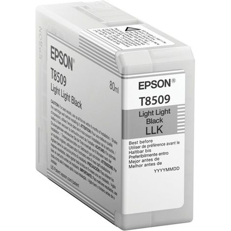 Cartucho Impresora EPSON C13T850900