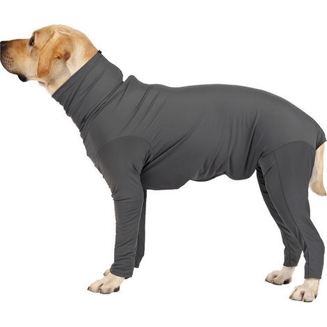 Antihaaranzug für Hunde, Ganzkörperanzug für Haustiere, Genesungsanzug nach Operationen, Alternative zum Halskragen, Beruhigungsshirt für männliche und weibliche Hunde (1/5)