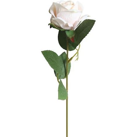 Rose artificielle en tissu, sans arrosage, réaliste, ne se fane pas, anti-décoloration, longue durée de vie, idéale pour la décoration de mariage et d'intérieur. Fournitures pour la maison.Champagne (1/5)